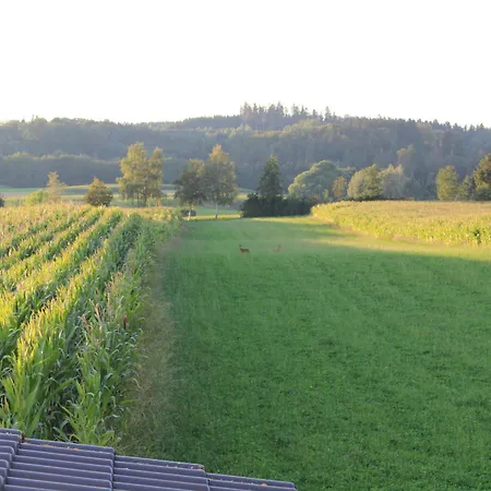 Am Barthelwald 아파트 윌헴스돌프