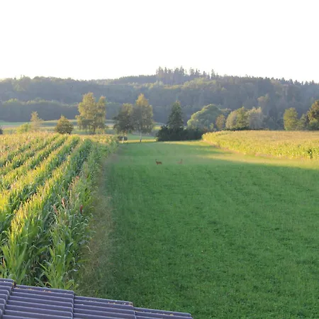 Appartement Am Barthelwald *