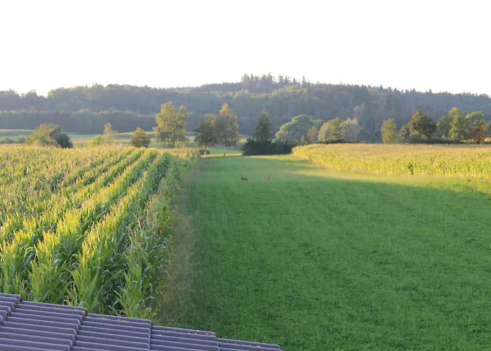 Am Barthelwald Lägenhet Wilhelmsdorf (Ravensburg)